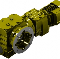 Characteristics of the transmission of snail snails