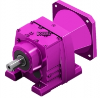 Maintenance techniques for r-series speed-reducing machines