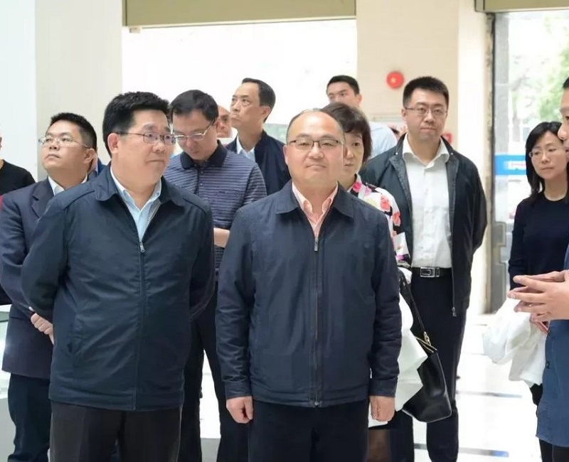 Visit by vietnamese agents to the boserl speed deviation plant